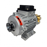 Маленький медный водяной масляный вихревой насос WD-021W в Воронеже